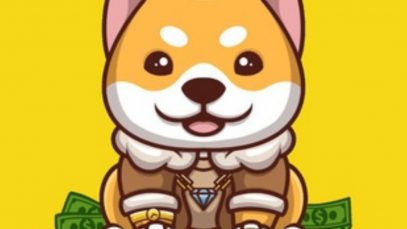 Baby Doge Billionaire (BABYDB)