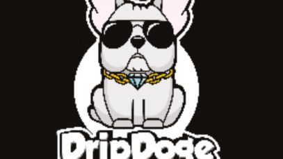 Drip Doge (DDC)