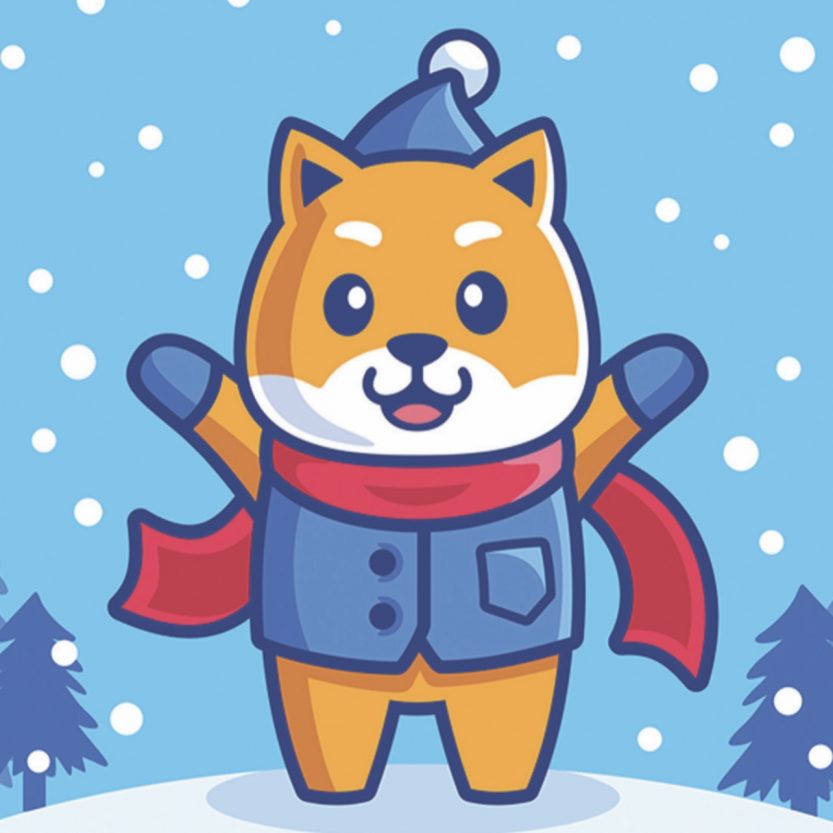 Christmas Floki - CFLOKI